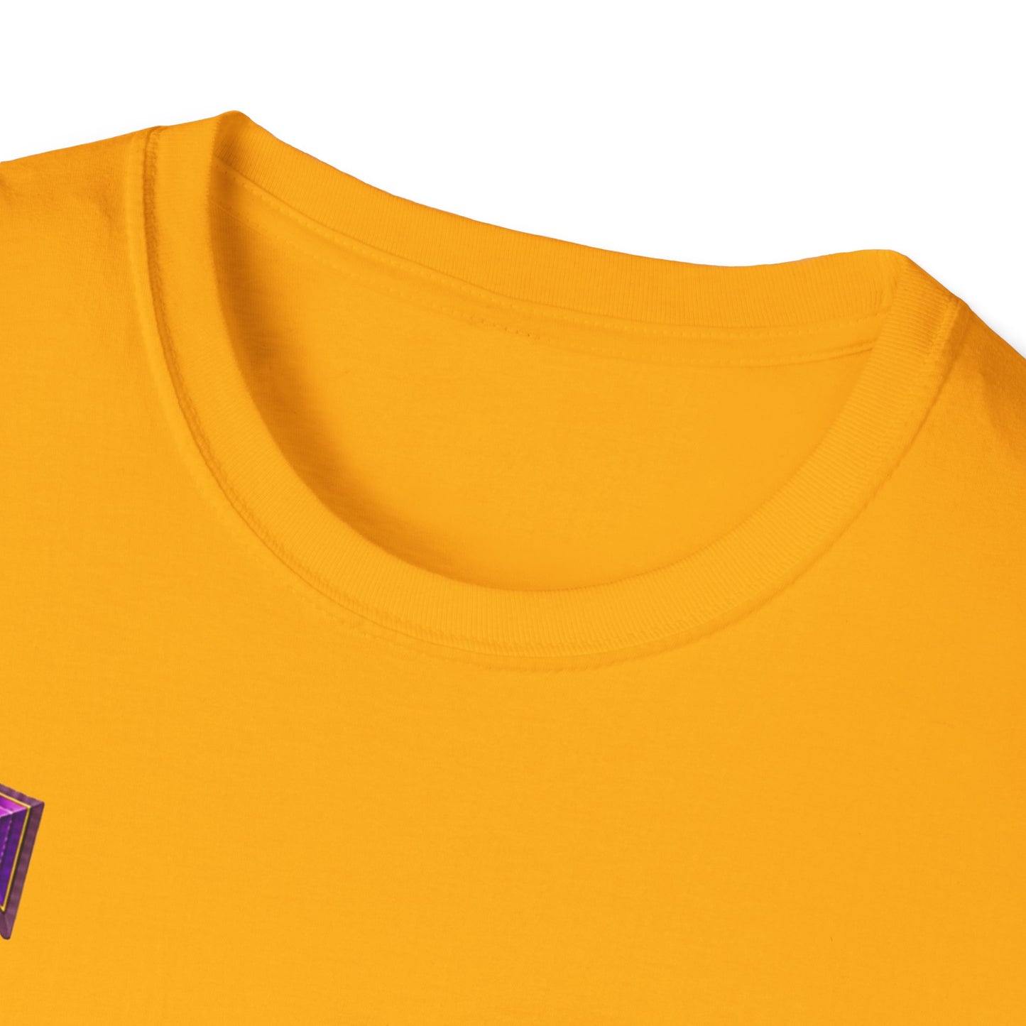 The Gemini Zodiac T-Shirt | 14 Colors | S - 3XL